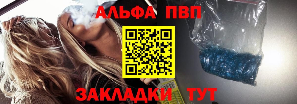 Альфа ПВП СК Краснознаменск