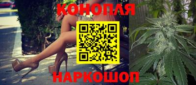 гидра Заволжье