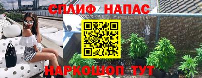 гидра Заволжье