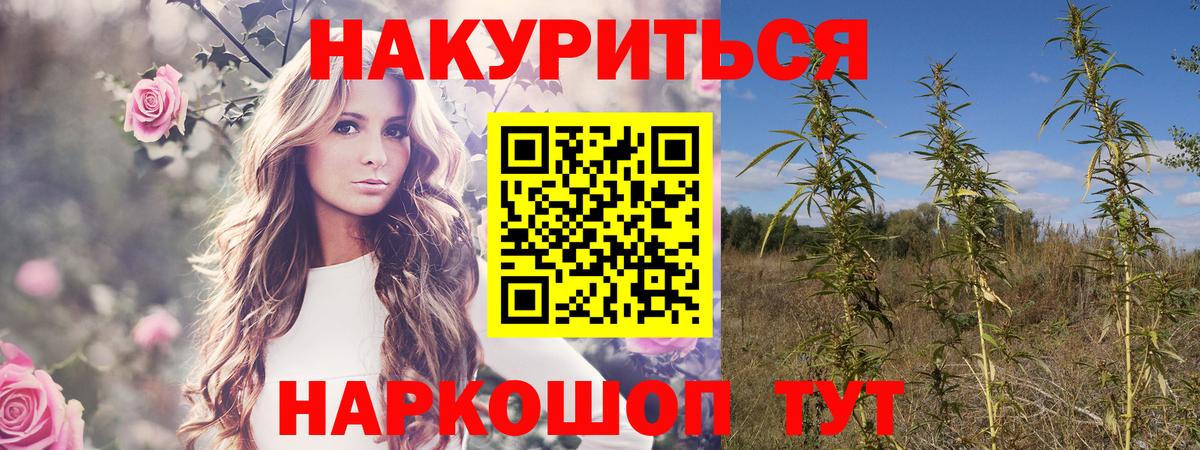 Канабис White Widow Краснознаменск